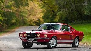 1967 Shelby Gt500 Fastback Classic Cars Shelby Gt500 1967 Shelby Gt500