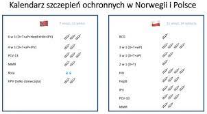 Na liście szczepień zalecanych pojawiły się szczepienia przeciw meningokokom, rotawirusom. Porownanie Programu Szczepien W Norwegii I Polsce Szczepienia Info