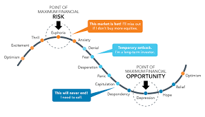 How to use fomo in a sentence. Fomo Omnistar Financial
