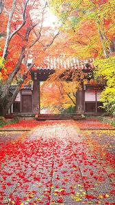 Which is the best wallpaper for iphone 7? 39 Japanese Iphone Wallpapers Wallpaperboat