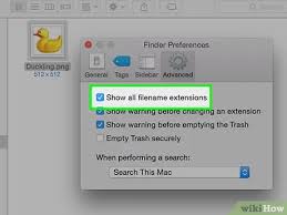 Look for either in your software's dropdown. 4 Ways To Convert Pictures To Jpeg Or Other Picture File Extensions