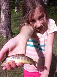 Do they have brown trout