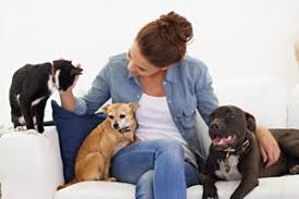 Click on the pet sitters details below to display the sitters full contact details and profile. 2021 Pet Sitting Rates Prices Per Day Or Overnight Dogs Cats