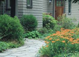 In case of your garden, we can increase biodiversity by choosing to incorporate native species, promote pollination and diversify different types of organisms. A Call For Backyard Biodiversity American Forests