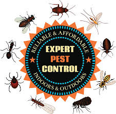 Ocean isle beach, nc 28469. Wilmington Pest Control Service Economy Exterminators Wilmington Nc