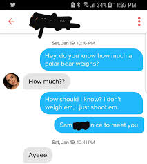More images for how much does a polar bear weigh meme » My Take On How Much A Polar Bear Weighs Tinder