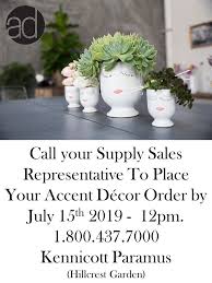 We help you pick out the perfect product to balance with the seasons and growing conditions in your area. Accent Decor Wholesale Florist Accent Decor Decor