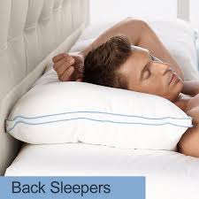 Biosense Memory Foam Pillow Cover Biosense Memory Foam Neck Pillow With Better Than Down Cover Pillows Neck Pillow Memory Pillows
