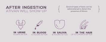 How Long Does Ativan Lorazepam Stay In The Body