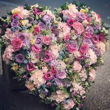 Elke dag worden duizenden nieuwe afbeeldingen van hoge kwaliteit toegevoegd. Heart Pink Funeral Tribute Vinetta Flower Gallery In Maidstone