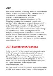 No detectable rnase, dnase, phosphatase or protease contaminating activities. Atp Zusammenfassung Allgemeine Biologie Atp Eine Weitere Chemische Verbindung Mit Der Wir Vertraut Werden Ist Adenosintriphosphat Atp Die Rolle Von Atp Ist Studocu