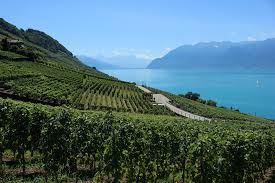 Louer restaurant canton de vaud: Switzerland S Canton Of Vaud Has It All Lakes Mountains Wines And Charlie Chaplin