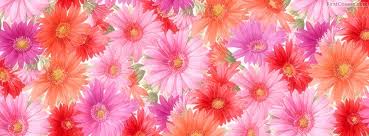 Flowers Facebook Covers Firstcovers Com Flower Wallpaper Hd Flower Wallpaper Tumblr Flower