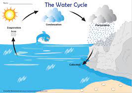 Water Cycle Chart Four Step Process Water Cycle Worksheet Water Cycle Water Cycle Chart