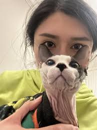 Hello Baby Kitty 🎉🎊 #photography #photooftheday #photographychallenge  #PhotoEditingChallenge #BestPhotographyChallenge #photochallenge  #moodchallengemoodchallenge #thửtháchtâmthửtháchtâmthửtháchtâmtrạngNày  #nhiếpảnh #moodchallengechallenge ...