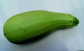 We did not find results for: Cucurbita Pepo Springerlink