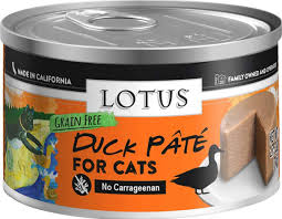 Earn clubcard points when you shop. 2021 Lotus Cat Food Review Best Choice For Sensitive Kitty