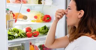 Iată care ar putea fi alte cauze de ce miroase gura la copii: Mirosuri NeplÄcute Din Frigider Frigiderul Miroase Urat Qbebe Ro