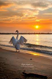 Gorgeous Beach Sunset Near Varna Bulgaria Beaches Beach Sunsets Ocean Scenes Beach Sunset Beach Fun