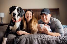 Beautiful great dane puppies available!! About Great Danes
