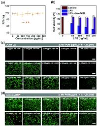 Check spelling or type a new query. Combinatorial Discovery Of Mo Based Polyoxometalate Clusters For Tumor Photothermal Therapy And Normal Cell Protection Biomaterials Science Rsc Publishing
