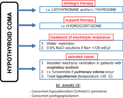 Flow Chart Of Therapeutic Approach To Hypothyroid Coma