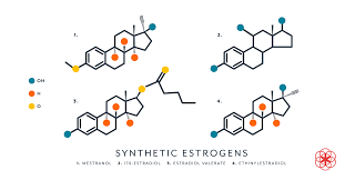 Image result for Estrogen