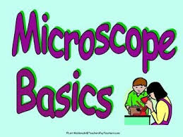 Microscope Basics Powerpoint Presentation Survival Kit For Teachers Science Lessons Presentation