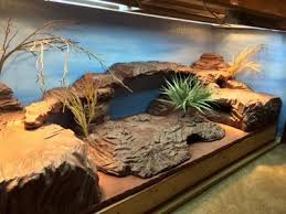 6ft Uromastyx Paradise Bearded Dragon Terrarium Ideas Bearded Dragon Terrarium Bearded Dragon