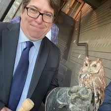 Vibration and shudder