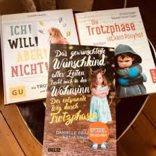 Habe ein tageskind mit etwas über 1 1/2 jahren, der testet mich schon seit 2 wochen. Drei Ratgeber Fur Die Trotzphase Im Vergleich Mamaclever De