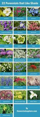 101 Perennials That Do Well In Shade A To Z Plants That Love Shade Plants Shade Garden Plants