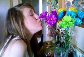 Get Away and Experience Paradise at Ashley's Place Inc.