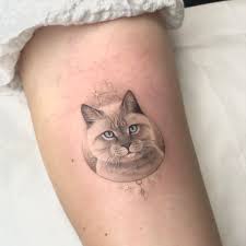 Small Cat Tattoo Portrai Small Cat Tattoo Cat Tattoo Cat Portraits