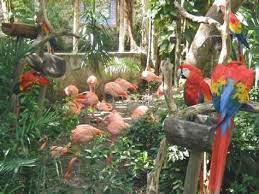 Top Ten Things To Do In Cancun Mexico Cancun Trip Cancun Mexico Royal Resorts Cancun