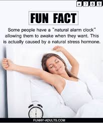 Pin On Fun Facts