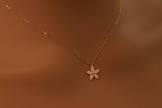 مجوهرات ناف الذهبي - NAF GOLD Jewelry