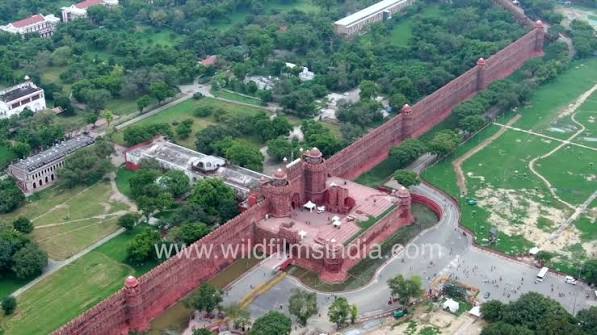Red Fort and the Walled City of Delhi come alive as Yamuna decides to re-write its historical course
