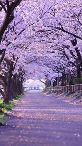 誰都不相信有錢不享受 揭開真相 十一 聖法如來藏 痞客邦 nature beautiful nature beautiful landscapes