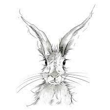 Image Result For Hare Line Drawing Animal Sketches Bunny Art Animal Drawings