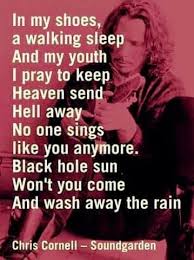 Won T You Come And Wash Away The Rain Pin By Abigail On Fav Singers Chris Cornell Heaven Sent Black Hole
