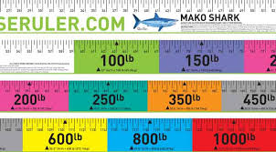 mako shark release ruler fish measure release