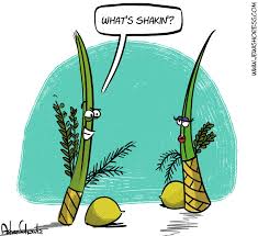 September 8 day of atonement: Sukkot Feast Of Tabernacles Guide For The Perplexed 2020 The Jewish Press Jewishpress Com Yoram Ettinger 14 Tishri 5781 October 1 2020 Jewishpress Com