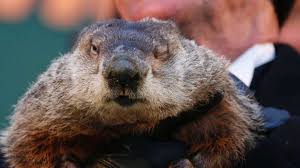 I slept like a log. Murmeltier Wagt Neue Wetterprognose Panorama