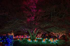The conservatory's light show, photosynthesis, will begin at approximately 9:15 p.m, transforming the building into a canvas of colorful light art. Winter Flower Show And Light Garden 2019 Holiday Magic Phipps Conservatory And Botanical Gardens Pittsburgh Pa