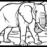 Gambar pensil hitam dan putih satu warna lukisan sketsa. Contoh Gambar Mewarnai Gambar Binatang Gajah Kataucap