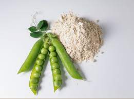 Pea Protein Ultimate Guide - Fine Vegetarian Dining