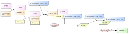 The Process Diagram