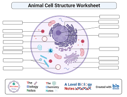 Check spelling or type a new query. Animal Cell Definition Structure Parts Functions And Diagram