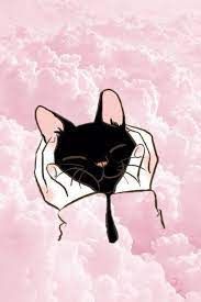 Pin By Brendxway On Wallpapers Cat Wallpaper Cat Art Cat Aesthetic